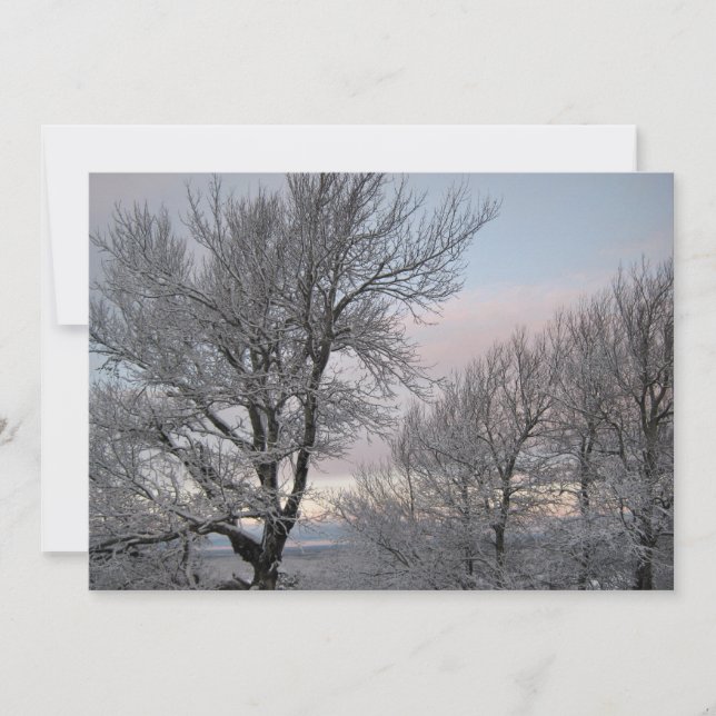 Snö täckte grenar inbjudningar (Framsida)