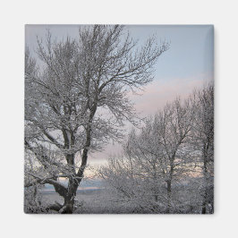 Snö täckte grenar magnet