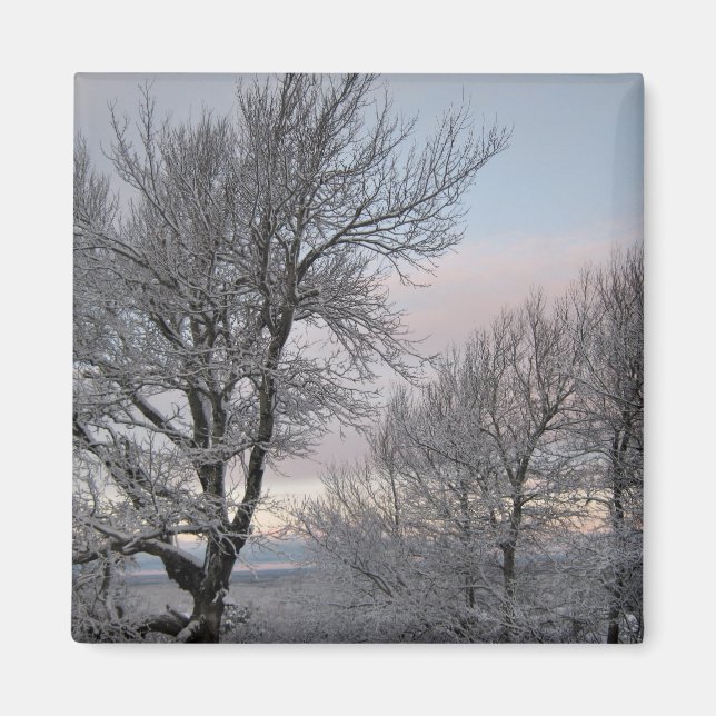 Snö täckte grenar magnet (Framsidan)