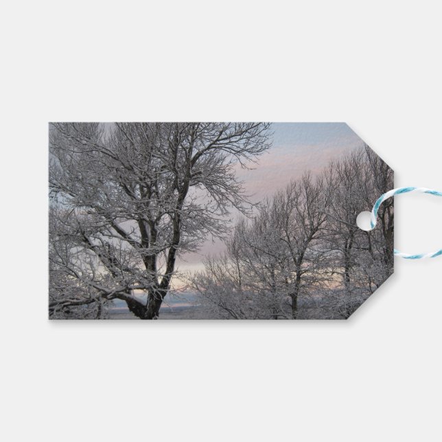 Snö täckte grenar presentetikett (Framsidan (Horisontell))