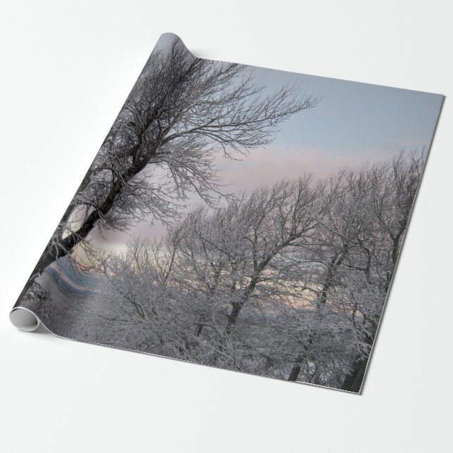 Snö täckte grenar presentpapper (Utrullad)