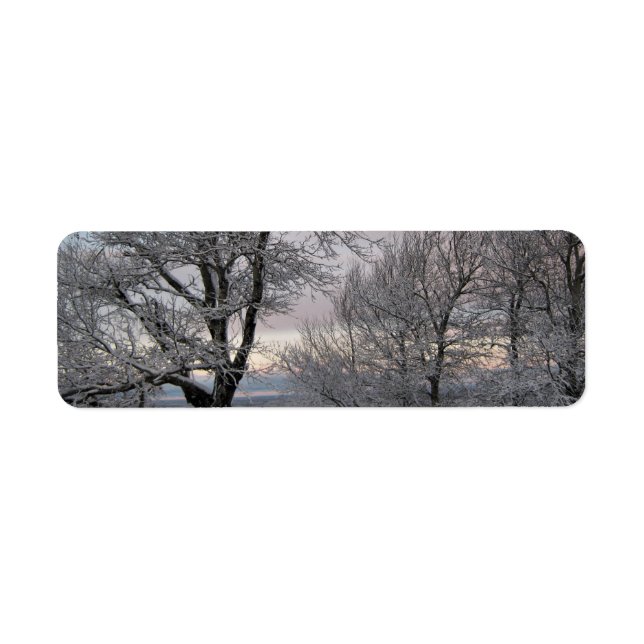 Snö täckte grenar returadress etikett (Framsidan)