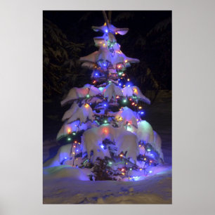 Snö täckte kort Lit Julgran Poster