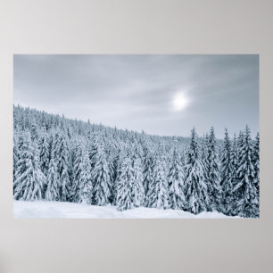 SNÖ TÄCKTE TRÄD UNDER DAGEN POSTER