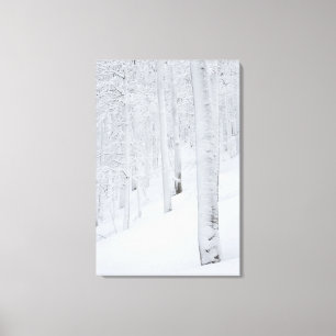 Snö täckte våtmarker med skog canvastryck