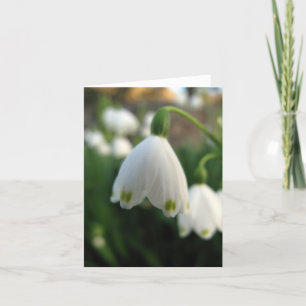 Snö tappar blomman noterar kortet kort