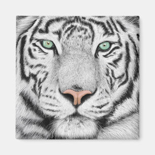 Snö Tiger Ansikte Magnet