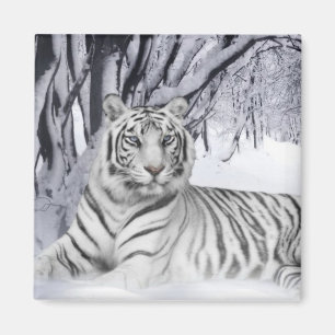 Snö Tiger Magnet