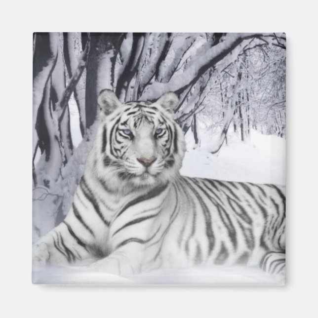 Snö Tiger Magnet (Framsidan)