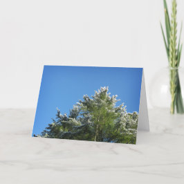 Snö-tippade Gräs Träd vid Blå himmel Kort