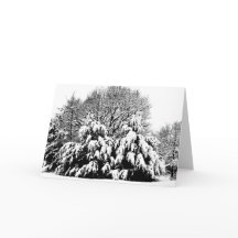 Snö Träd Natur Vinter Scen Konst Not Kort
