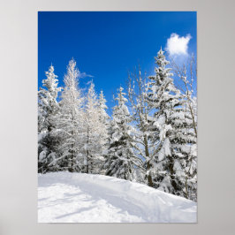 Snö träd under ett klart blå himmel poster
