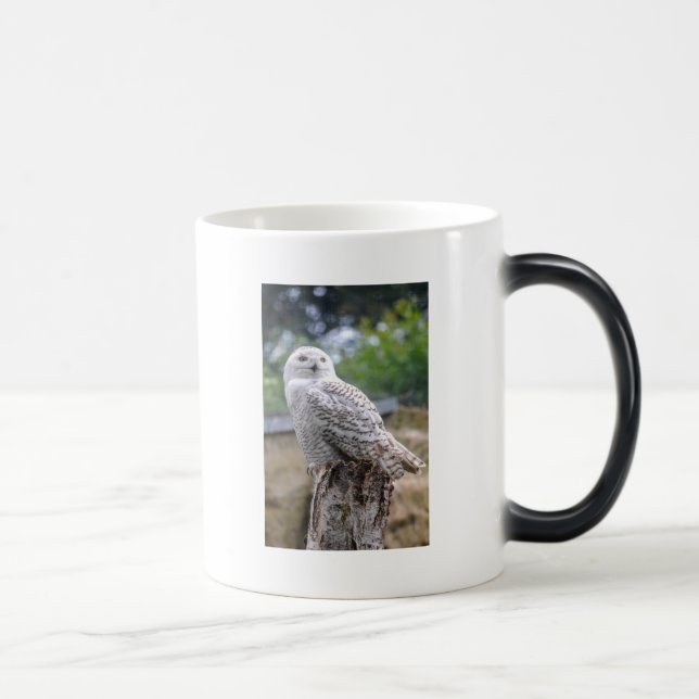 Snö uggla magisk mugg (Höger)
