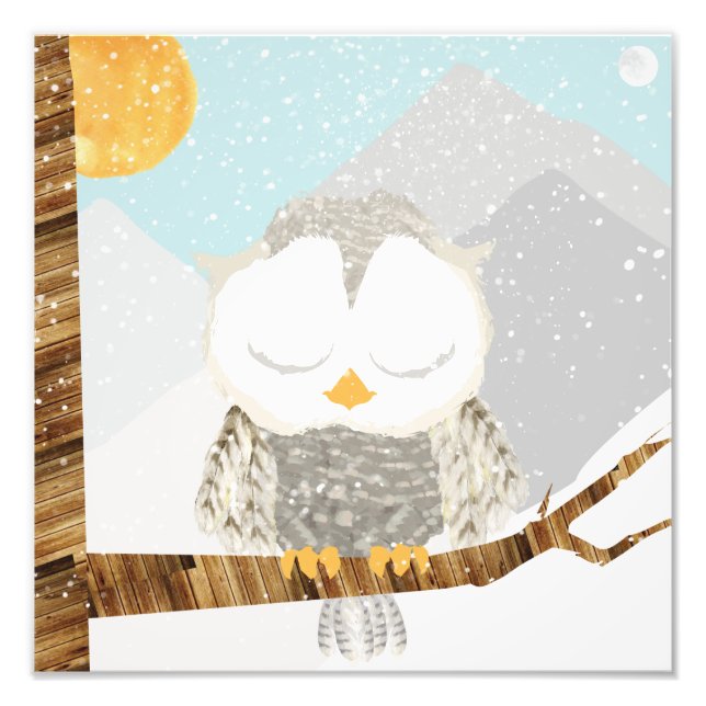 Snö Uggla Spipande i Träd Fototryck (Framsidan)