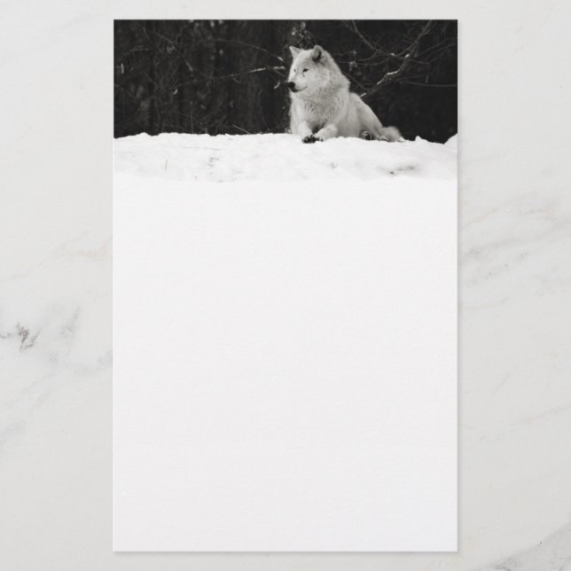 Snö Varg (Framsida)