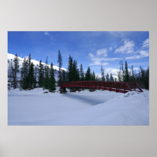 Snö vid floden Simpson Trailhead Kootenay Poster