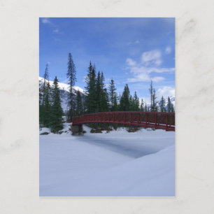 Snö vid floden Simpson Trailhead Kootenay Vykort