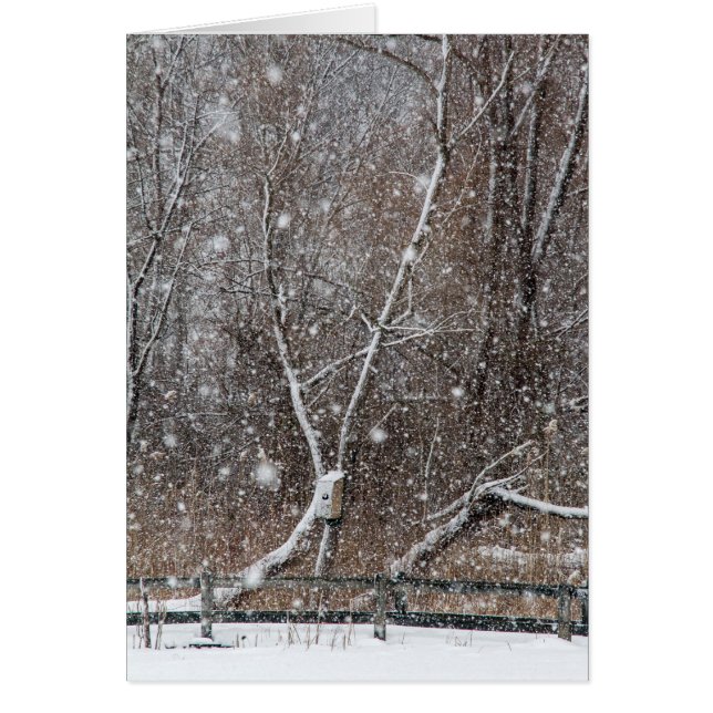 Snö vid parken hälsningskort (Framsidan)