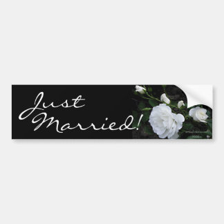 Snö Vit ros - Bumper Sticker Bildekal