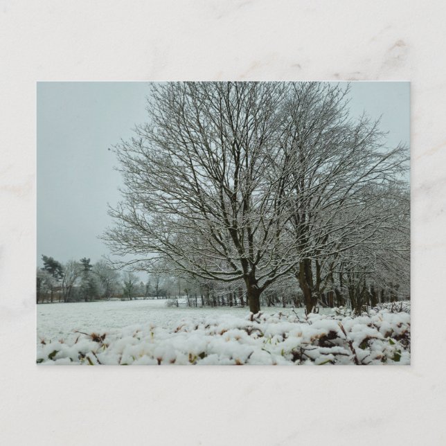 Snö Vykort (Framsida)