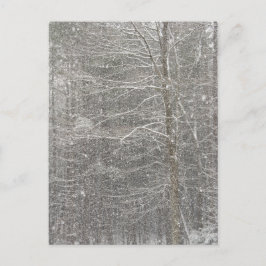 Snö Vykort