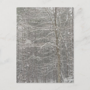 Snö Vykort