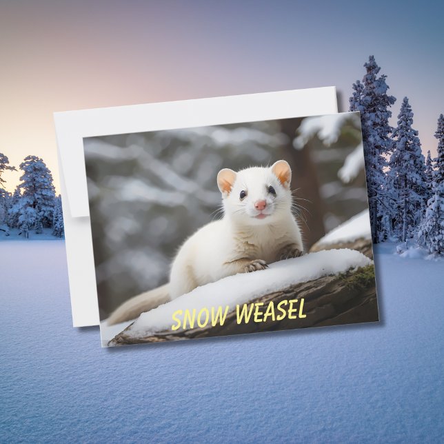 Snö Weasel som lägger på sten Vykort (Skapare uppladdad)