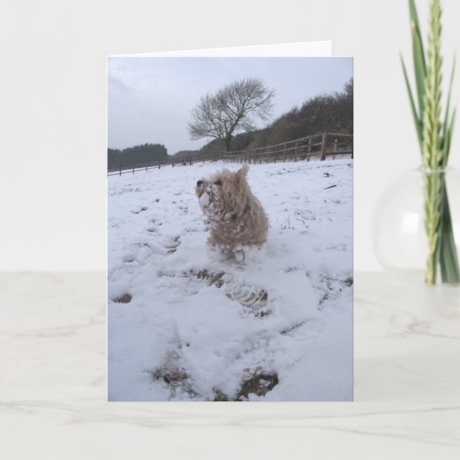 Snö Westie Helgkort (Framsida)