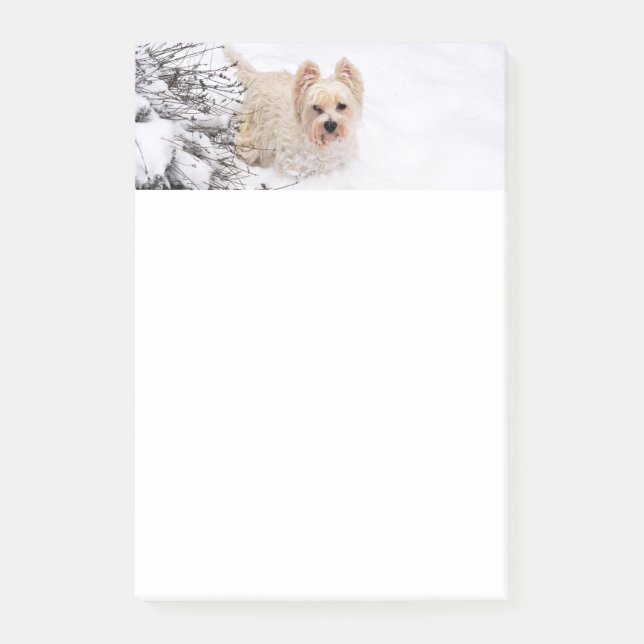 Snö Westie Hund Photo Stationery 4x6 Post it Notes Post-it Block (Framsida)