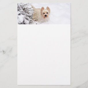 Snö Westie Hund Photo Stationery Papper