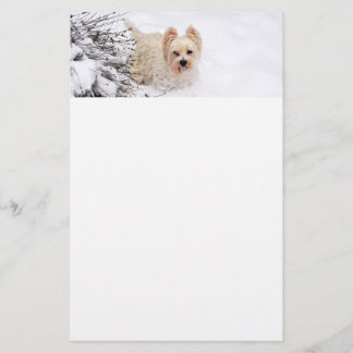 Snö Westie Hund Photo Stationery Papper