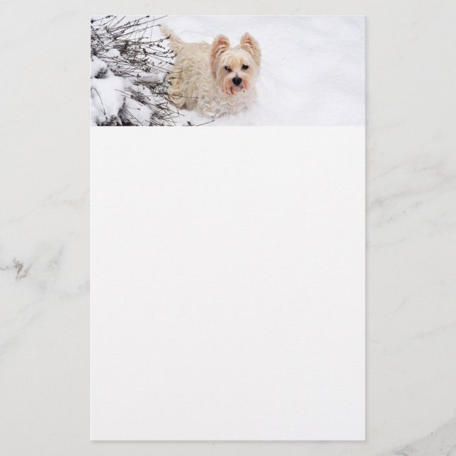 Snö Westie Hund Photo Stationery Papper (Framsida)