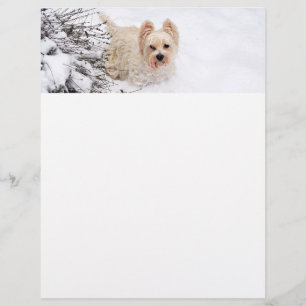 Snö Westie Hund Photo Stationery Papper