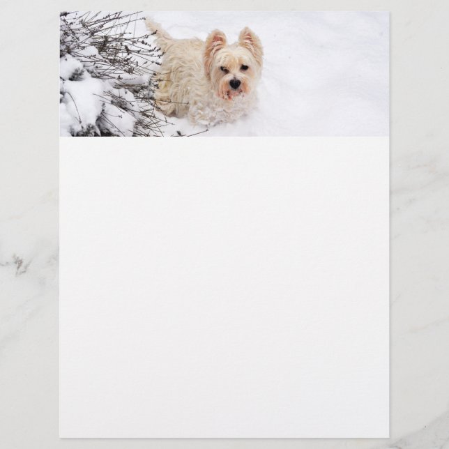 Snö Westie Hund Photo Stationery Papper (Framsida)
