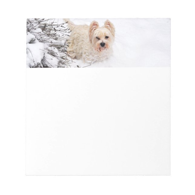 Snö Westie Hund Stationery Anteckningsblock (Framsida)