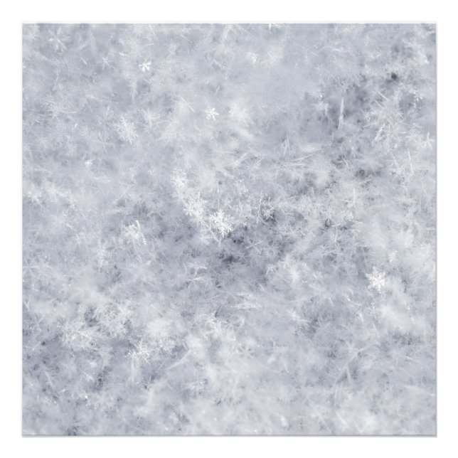 Snö White-jul Fototryck (Framsidan)
