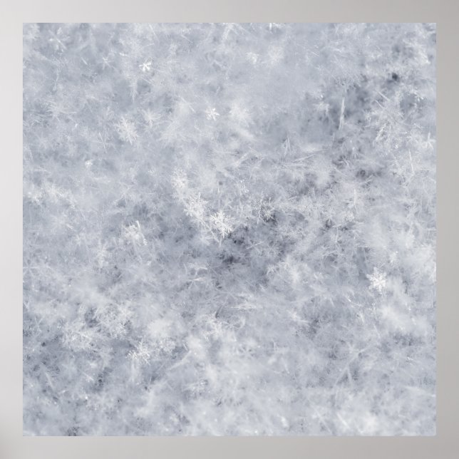 Snö White-jul Poster (Framsidan)