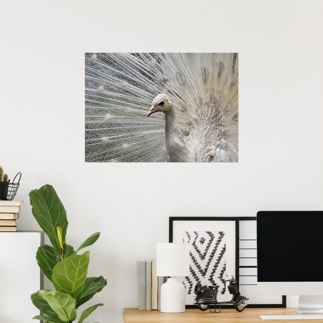 Snö White Poster (Hemmakontoret)