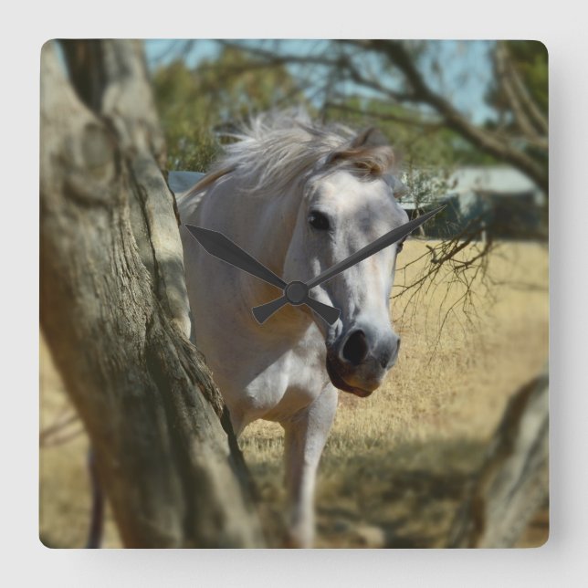 "Snö White: the Majestic Steed" Fyrkantig Klocka (Framsida)