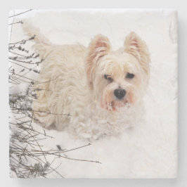 Snö White Westie Hund Photo Stone Underlägg