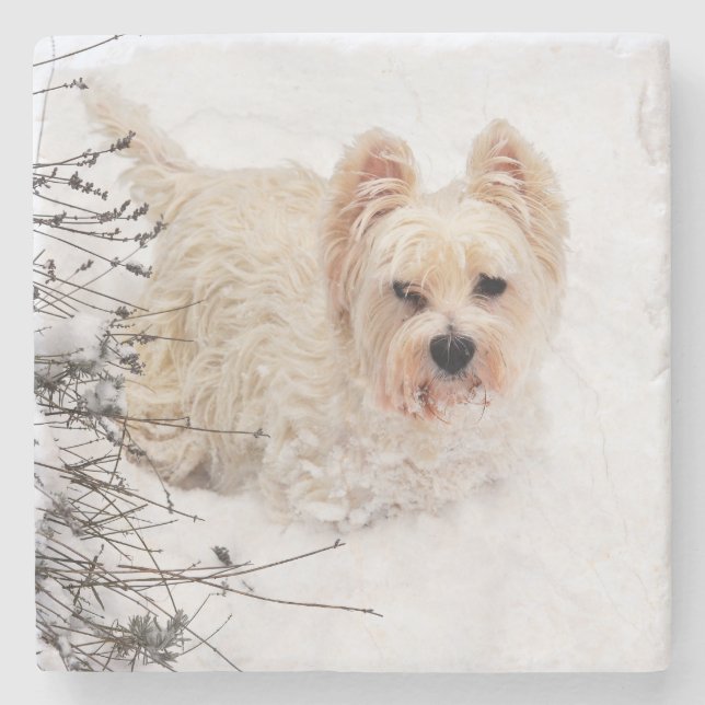 Snö White Westie Hund Photo Stone Underlägg (Framsidan)