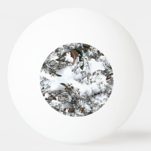 Snöabstrakt Pingisboll