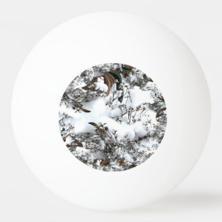 Snöabstrakt Pingisboll