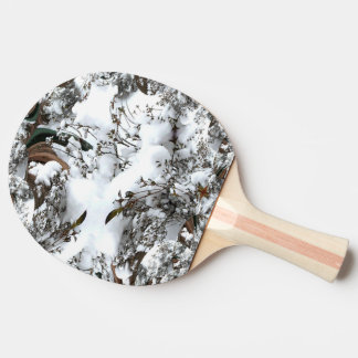 Snöabstrakt Pingisracket