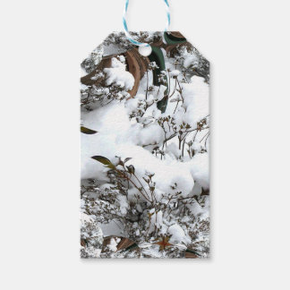 Snöabstrakt Presentetikett