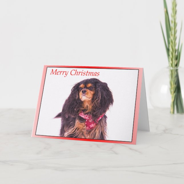 Snöande Cavalier King Charles Spaniel Jul Helgkort (Framsida)