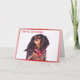 Snöande Cavalier King Charles Spaniel Jul Helgkort