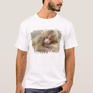 Snöapa baby, Jigokudani, Nagano, Japan 2 Tröja