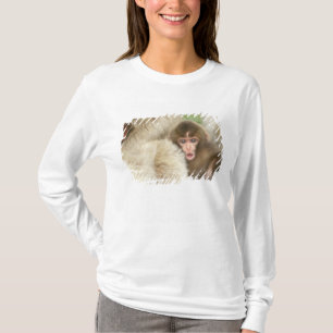 Snöapa baby, Jigokudani, Nagano, Japan T Shirt