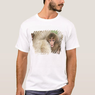 Snöapa baby, Jigokudani, Nagano, Japan Tee